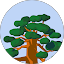 Washington Barry Avatar